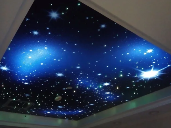 Sd Ceilings