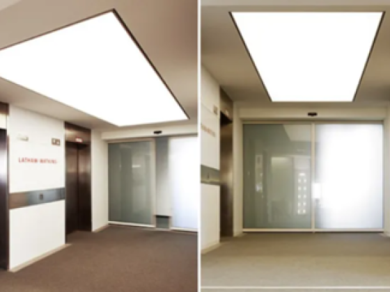 Sd Ceilings