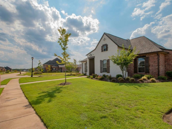 Wizhull Real Estate Mortgage Brokerage