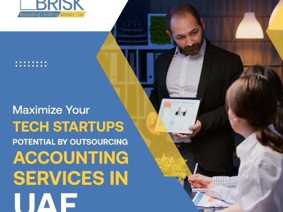 Brisk Accounting & Auditing
