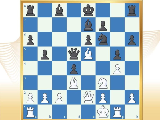 Signature Chess Club