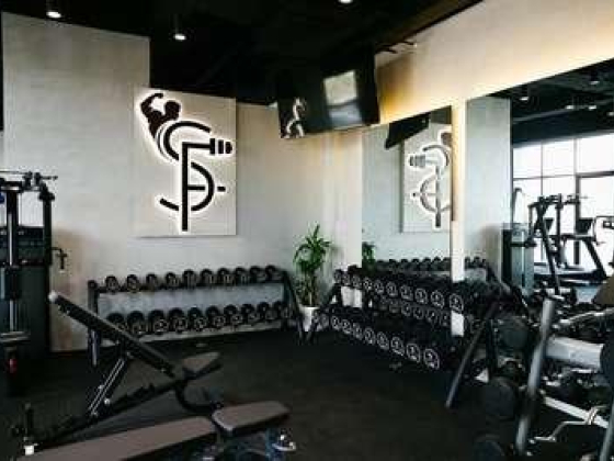 Shuffle Fitness