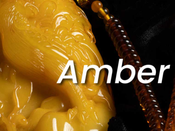 Amber And Art