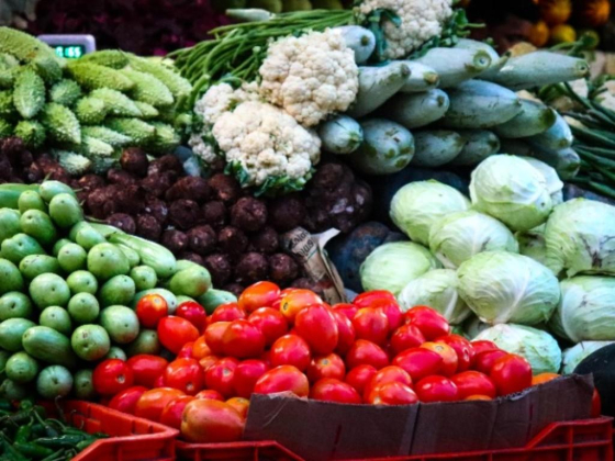 Super View Vegetables & Fruit Trading