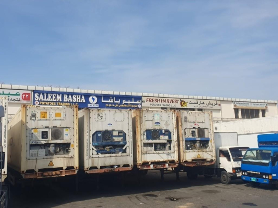Saleem Basha Potatoes Trading