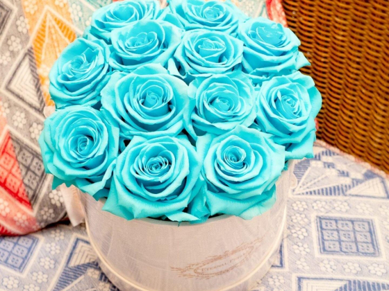 Eternal Petals