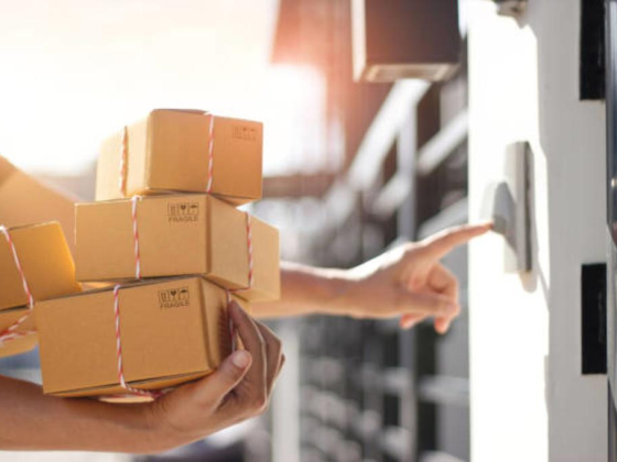 Grace Link Delivery Service