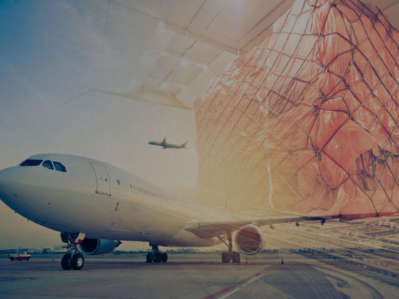 Jlm International Cargo Services