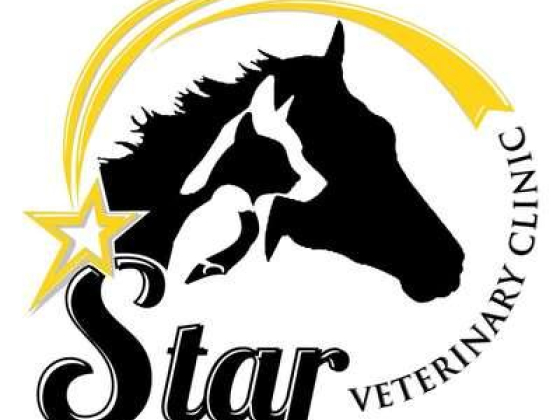 Star Veterinary Clinic