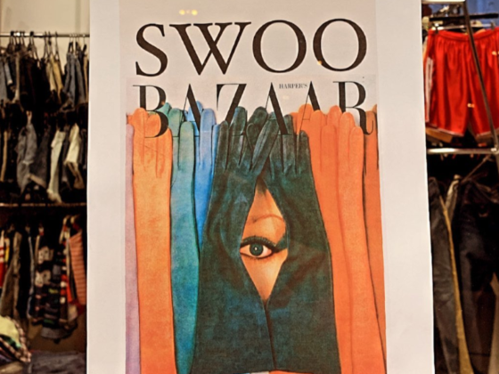 Swoo Clothing Shop