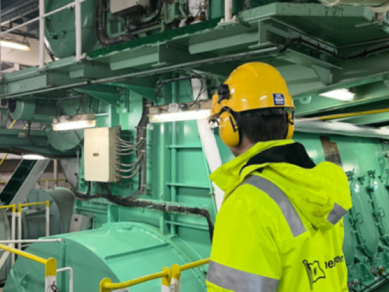 Wilhemsen Ship Service