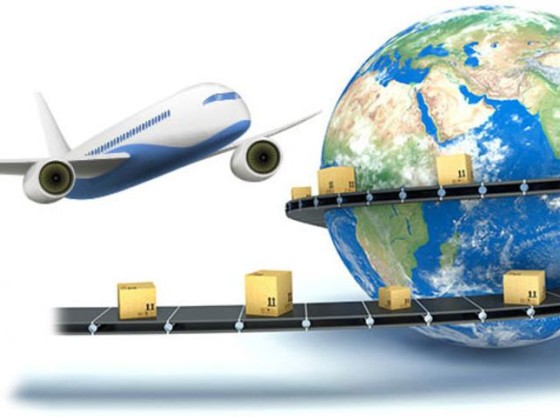 Seli Overseas Shipping