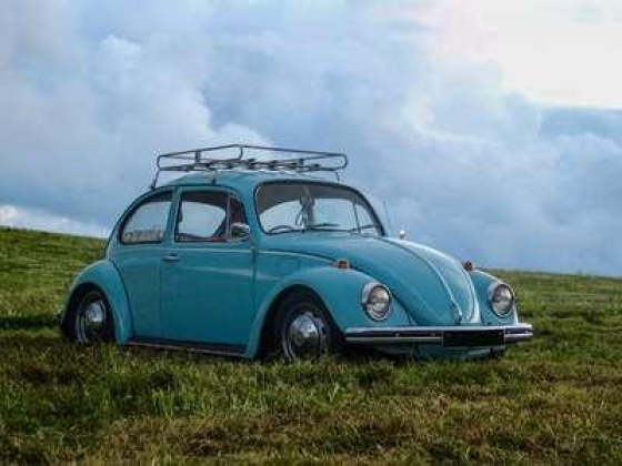 Professional Car Rental