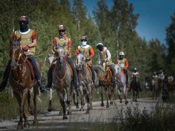 Dubai Equestrian Club