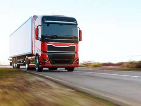 Bmsb Global Transport