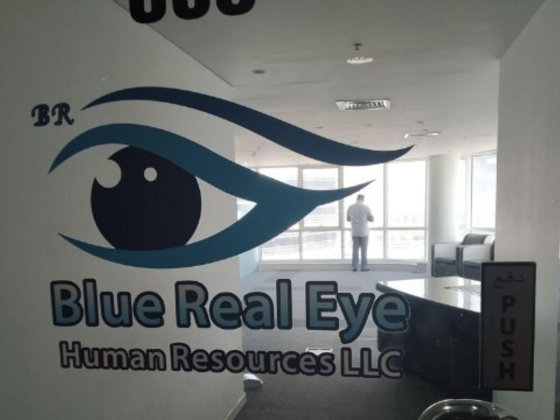 Blue Real Eye Human Resources Consultancies