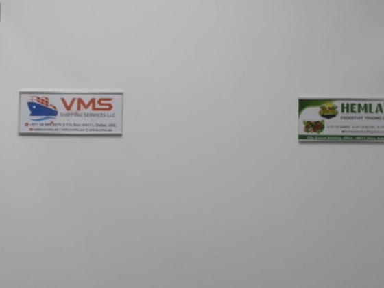 VMS Shipping Services L.l.c