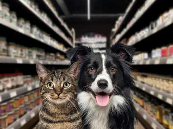 Maxwells Fish & Live Animals Trading