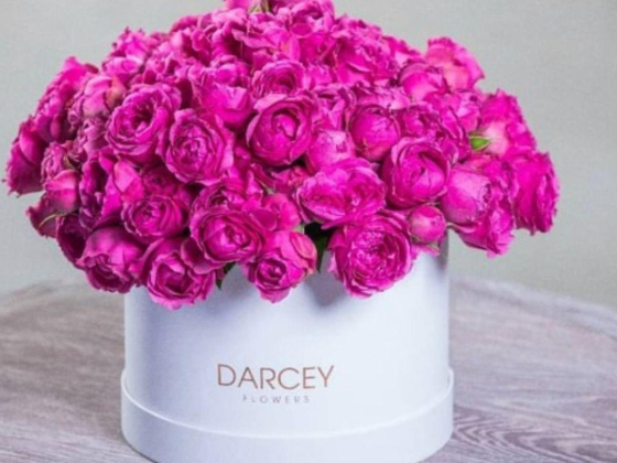 Darcey Flowers