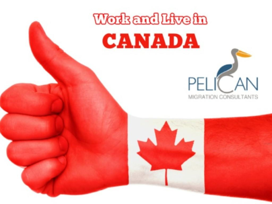 Pelican Migration Consultants