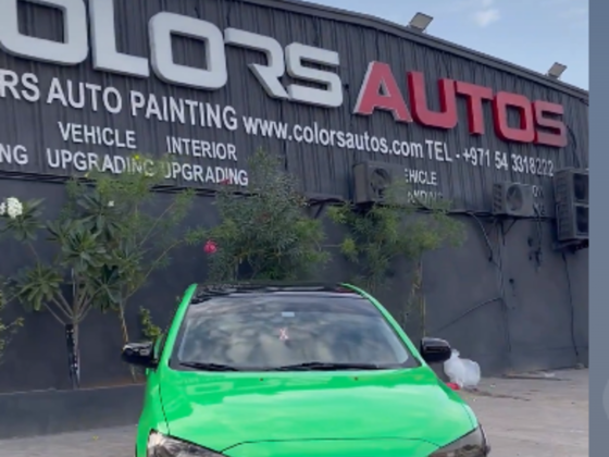 Colors Auto Painting