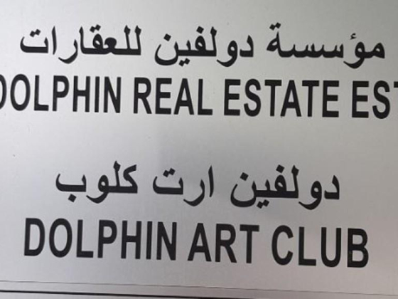 Dolphin Real Estate L.l.c