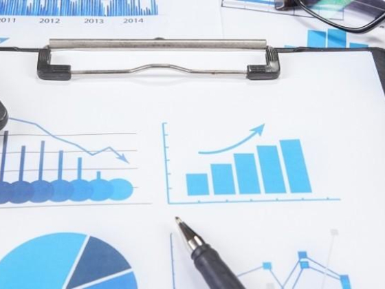 L N M C Management Consultants