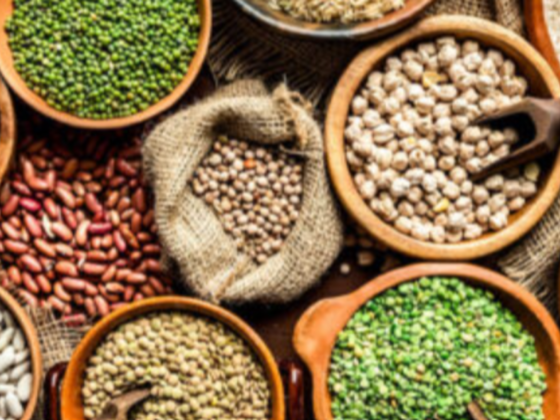 Green Salar General Trading