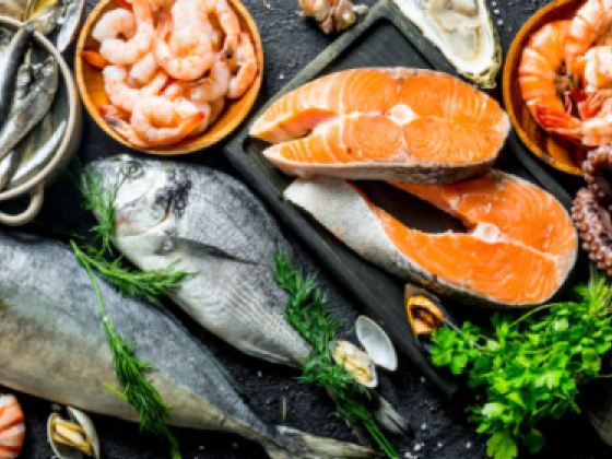Al Nabraw Salted Preserved Fish & Sea Food Trading