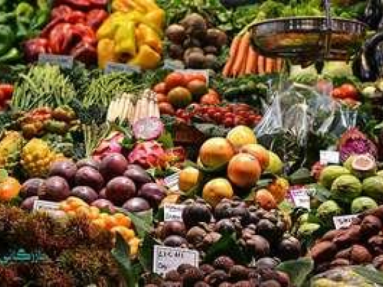 Roudi Foodstuff Trading