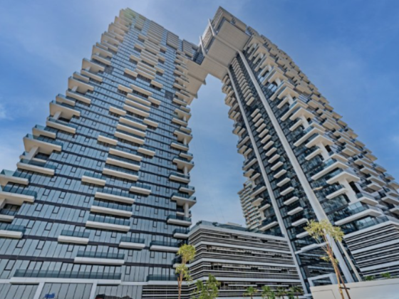 Own Properties