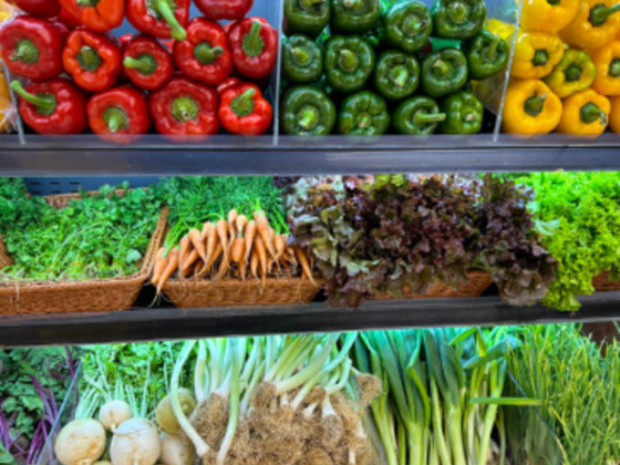 Ali Khayati Food Stuff Trading