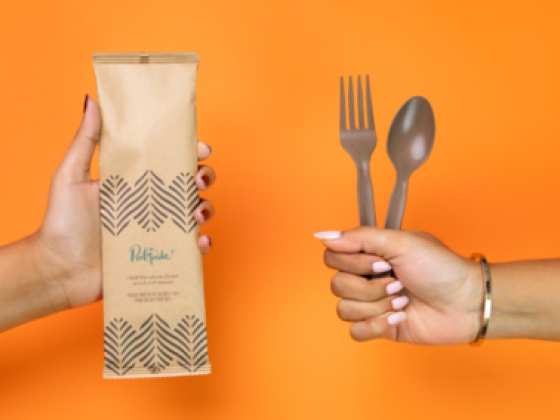 Palmade Biodegradable Cutlery