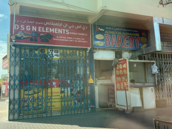 D S G N Elements General Trading