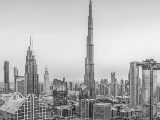 Idigov Real Estate