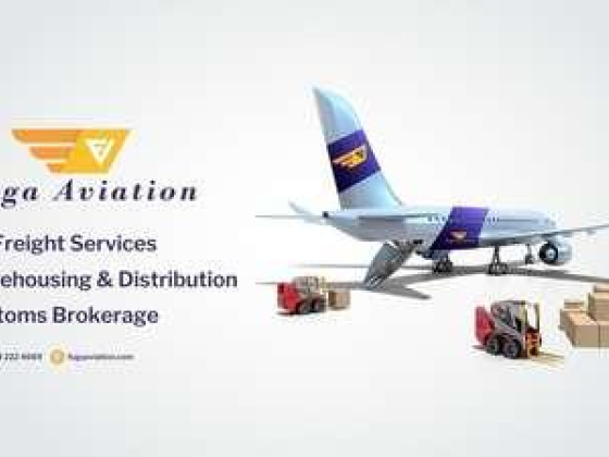 Fuga Ventus Aviation Service