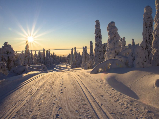 5 Reasons Finland’s People Are So Happy