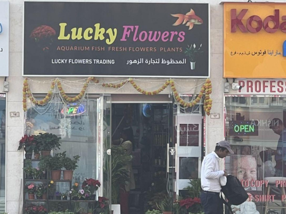 Lucky Flowers