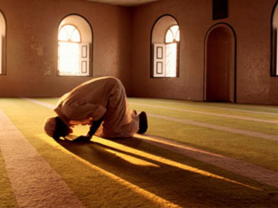 Read Quran And Islamic Studies