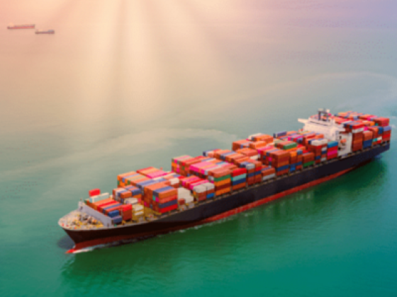 Amina Ali Cargo Services