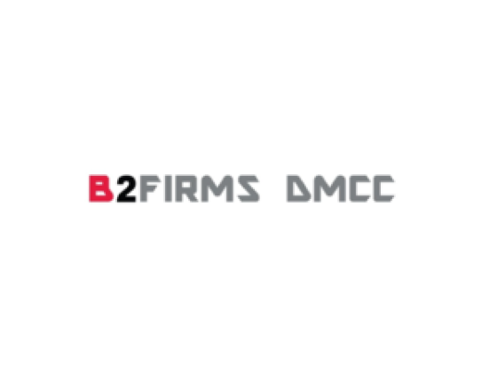 B2firms