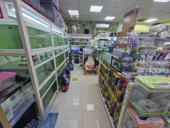 Nancy Barcala Aquatic & Live Animals Trading