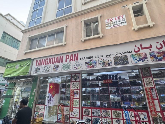 Yangxuan Pan Trading