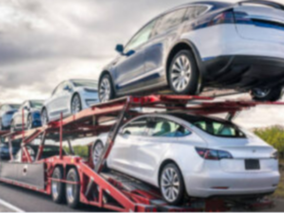 Reef Shipping Services