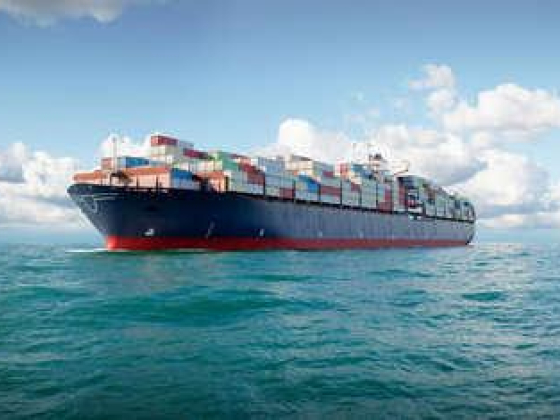Pact Impex Shipping