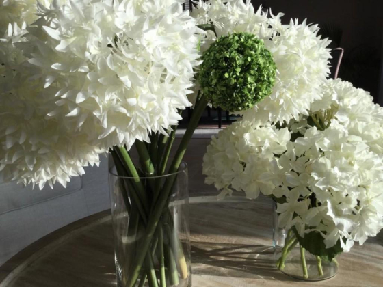 Jelle Decoration
