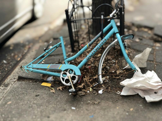 Junk Removal Service