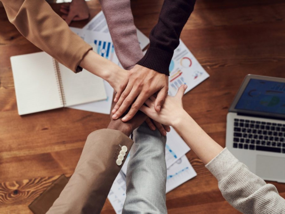 How to Make Sure Your Business Succeeds and How Can Resale Rights Products help it Grow?