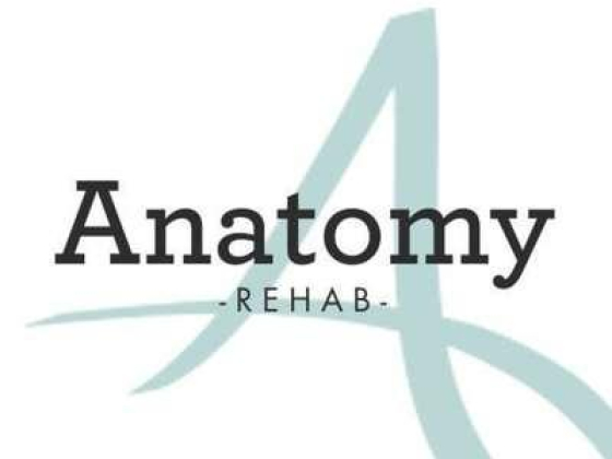 Anatomy Physical Medicine And Rehabilitation Center