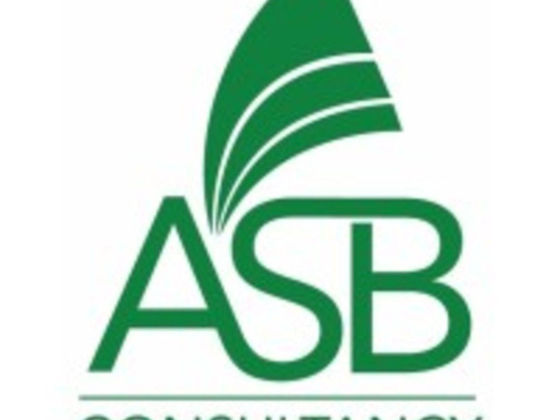 Aamir Shehzad Billah Management Consultancy